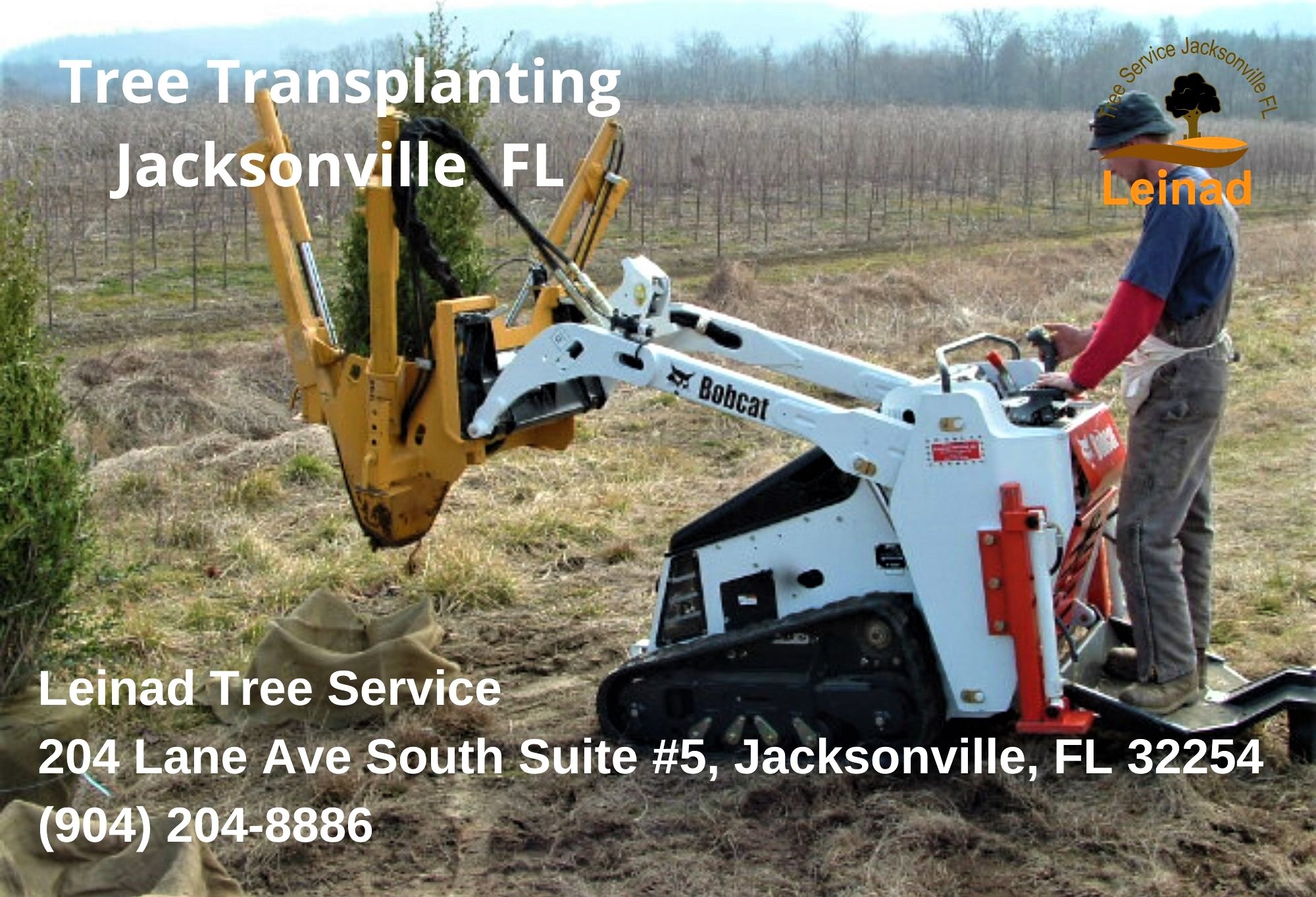 Leinad Tree Service Image